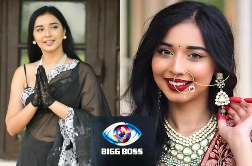 Bigg Boss 19 ची स्पर्धक Tanya Mittal घरात घेऊन गेली तब्बल ८००हून जास्त साडया?