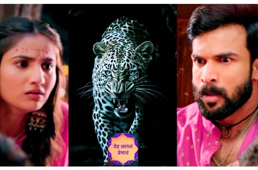  बिबट्यांच्या हल्ल्यांविरोधात ‘Yed Lagal Premach’ मालिकेतून करण्यात येणार जनजागृती!