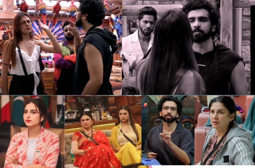  Bigg Boss 19च्या घरातील वाद थेट कोर्टात, स्पर्धक Amal Malik च्या अडचणी वाढल्या… 