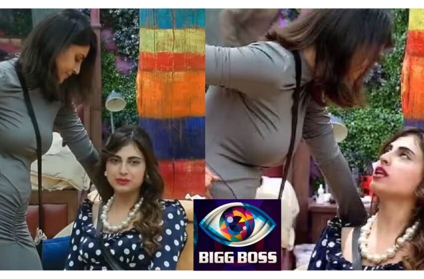  Bigg Boss 19: ‘तेरे मुंह मैं….’ भांडणात फरहानाला हे काय बोलून गेली मालती?