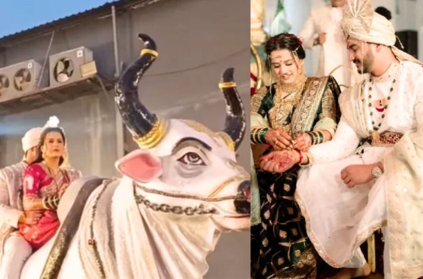  Prajakta Gaikwad Wedding: रिसेप्शनमधल्या ‘ग्रँड एन्ट्री’ ने अभिनेत्री झाली ट्रोल !