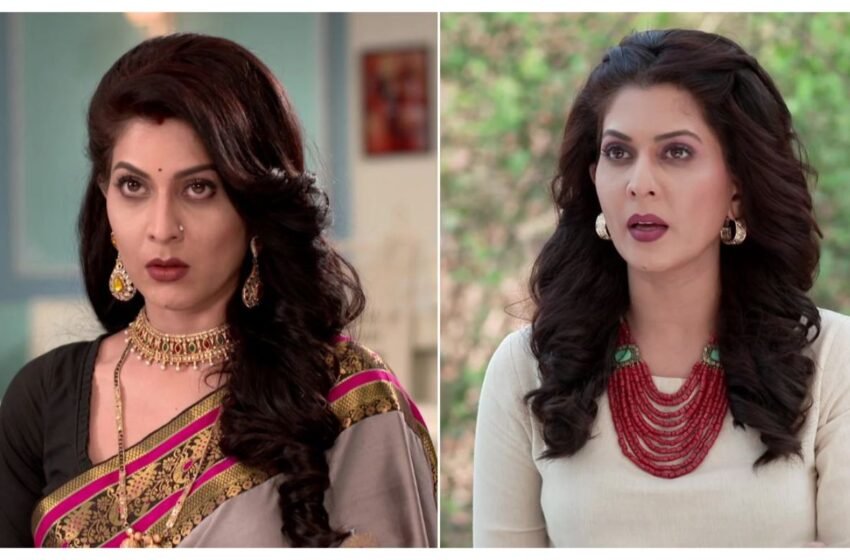  अभिनेत्री Madhavi Nimkar पुन्हा झळकणार खलनायिकेच्या भूमिकेत !